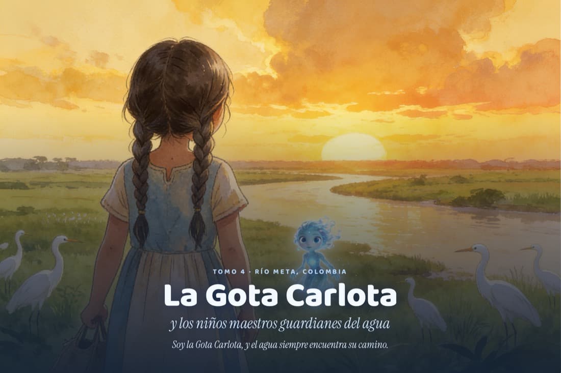 Tomo 4 · Río Meta, Colombia